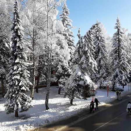 Apartment By Montebello Zlatibor